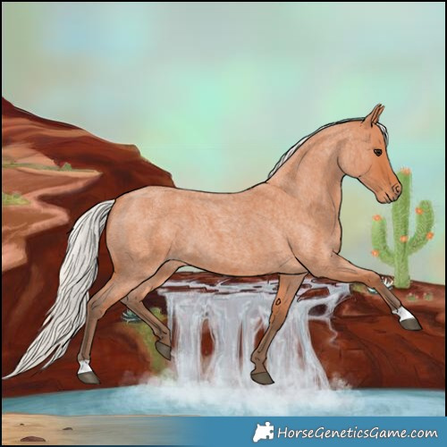 Horse Color:Silver Bay Roan 