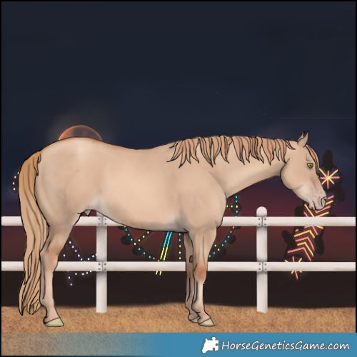 Horse Color:Gold Champagne Dun 