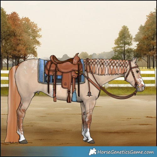 Horse Color:Powder White Red Dun 