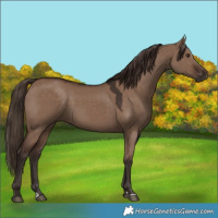 Horse Color:Liver Red Dun 