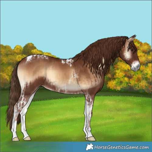 Horse Color:Red Onyx Tobiano and Red Onyx Tobiano