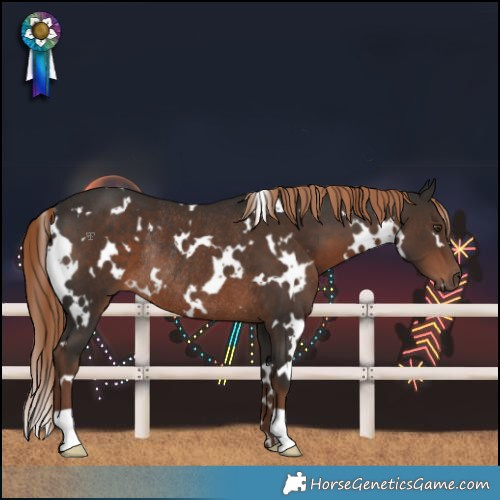Horse Color:White Spotted Liver Chestnut Rabicano 