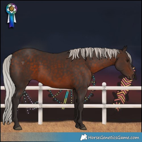 Horse Color:Silver Bay Rabicano 