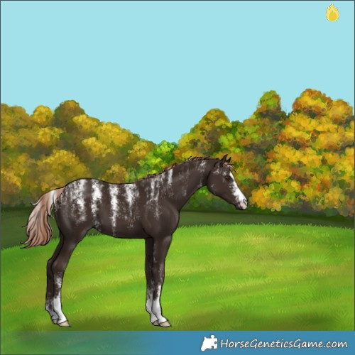 Horse Color:Powder White Liver Chestnut 