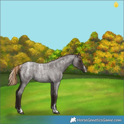 Horse Color:Powder White Liver Red Roan