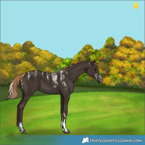 Horse Color:Powder White Liver Chestnut 