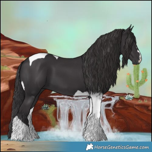 Horse Color:Smoky Black Tobiano 