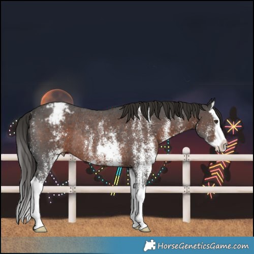 Horse Color:White Spotted Liver Chestnut Splash Varnish Rabicano 
