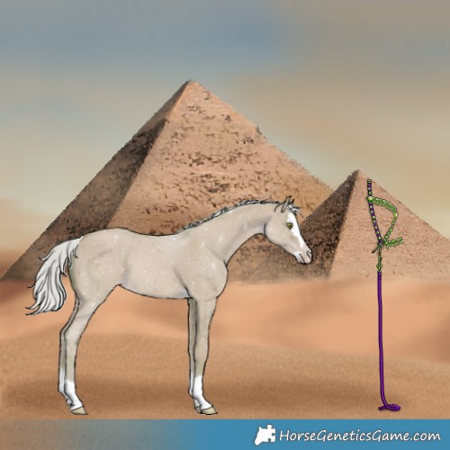 Horse Color:Watercolor Silver Classic Champagne Dun Splash 