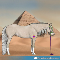 Horse Color:Watercolor Silver Classic Champagne Dun Splash