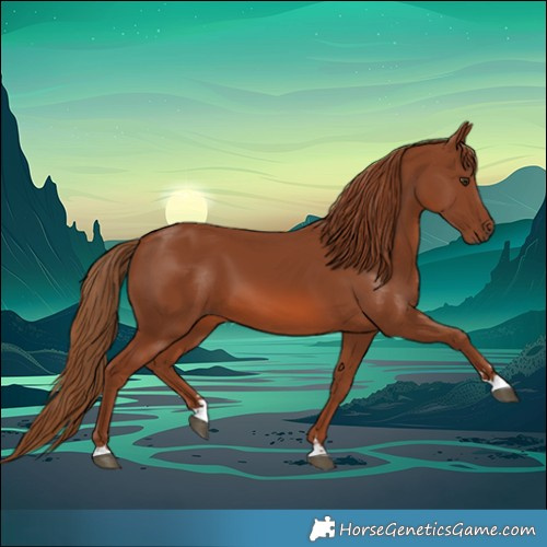 Horse Color:Chestnut 