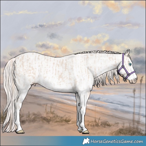 Horse Color:Smoky Creme Sabino  and Smoky Creme Sabino 