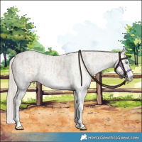 Horse Color:Smoky Creme Sabino  and Smoky Creme Sabino 