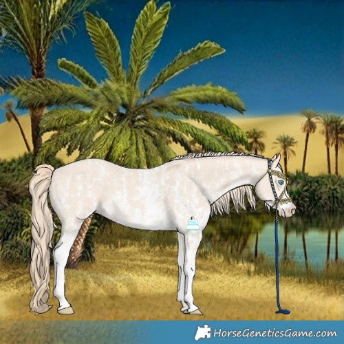 Horse Color:Perlino Sabino  and Perlino Sabino 