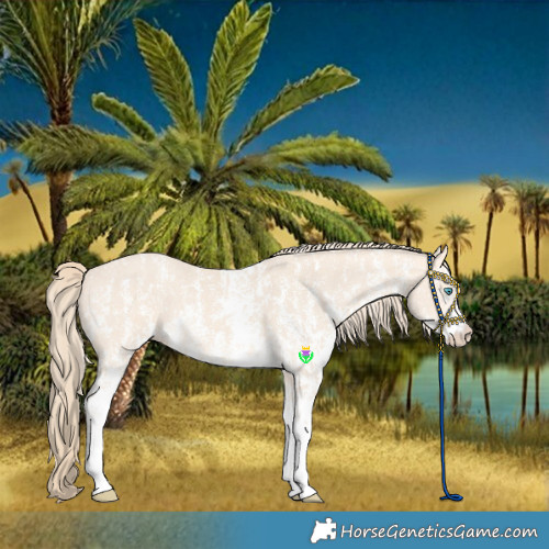 Horse Color:Perlino Sabino and Perlino Sabino