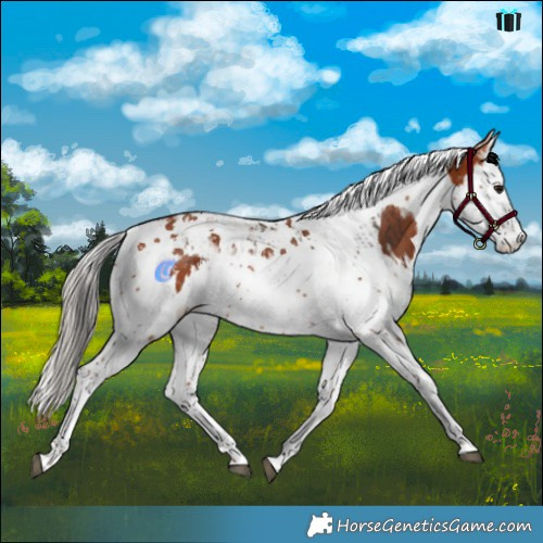 Horse Color:Bay Splash Tobiano  and Silver Bay Splash Tobiano 