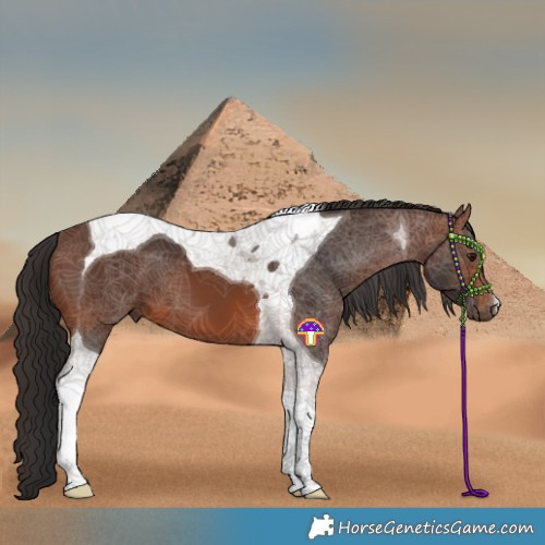 Horse Color:Brown Tobiano