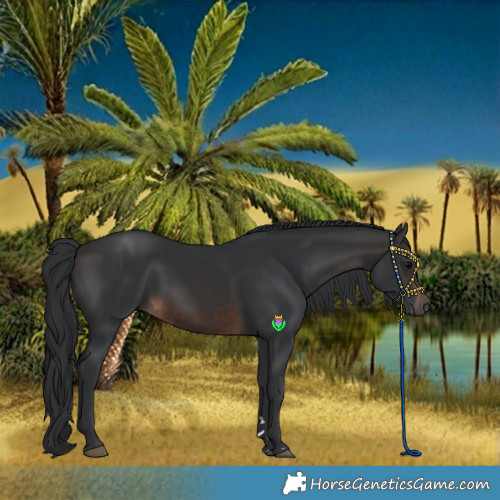 Horse Color:Brown 
