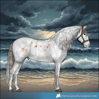 Horse Color:Bay Splash Tobiano  and White Spotted Bay Splash Tobiano 