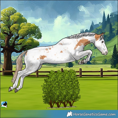 Horse Color:Chestnut Splash Tobiano  and Chestnut Splash Tobiano 