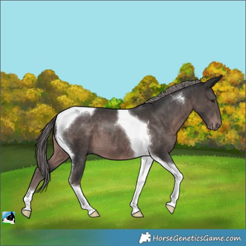 Horse Color:Platinum Liver Chestnut Tobiano 