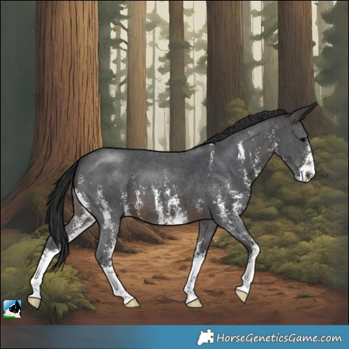 Horse Color:Brown Sabino