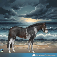 Horse Color:Bay Sabino