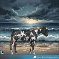 Horse Color:White Spotted Liver Chestnut 