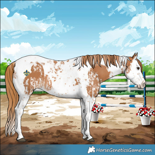 Horse Color:Chestnut Splash Tobiano and Chestnut Splash Tobiano