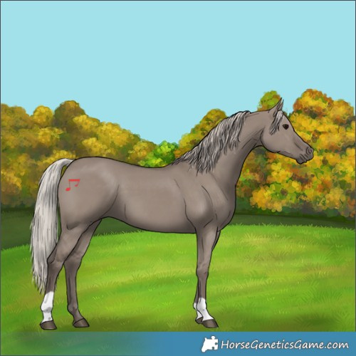 Horse Color:Silver Grullo 