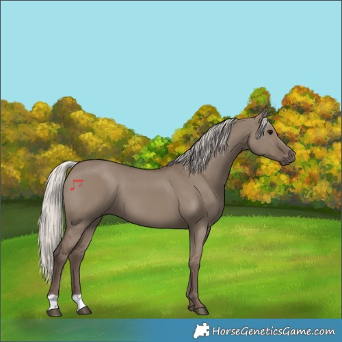 Horse Color:Silver Grullo