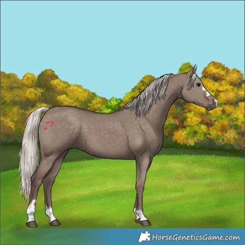 Horse Color:Silver Grullo