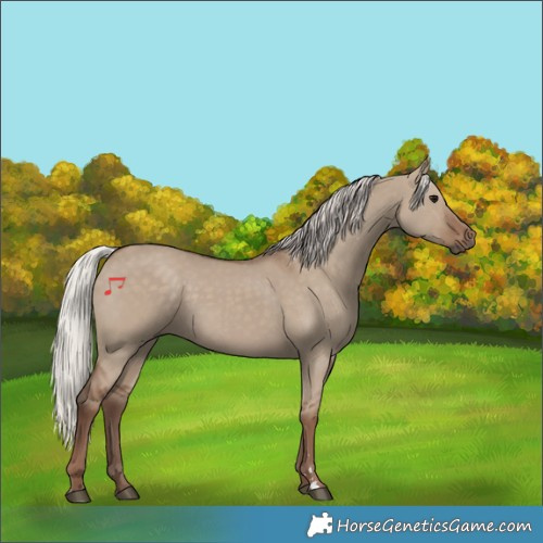 Horse Color:Silver Grullo