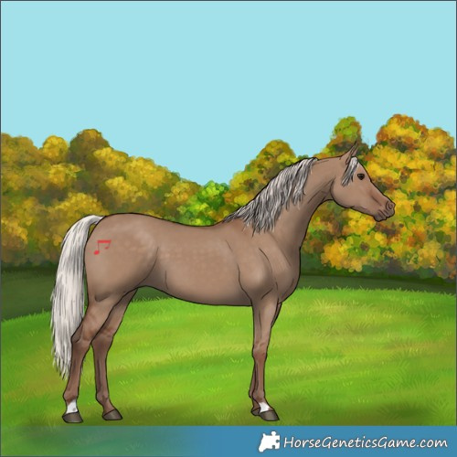 Horse Color:Silver Grullo