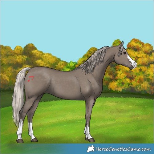 Horse Color:Silver Grullo 