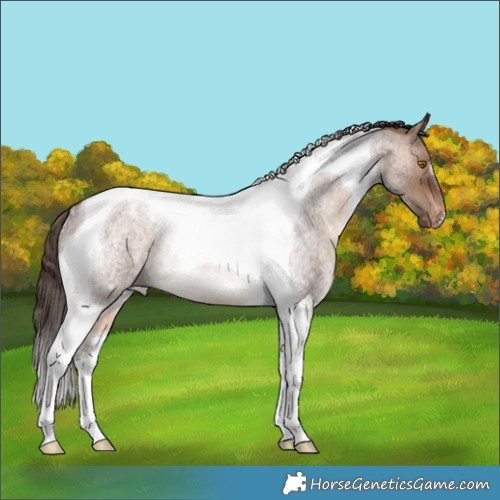 Horse Color:Brown Roan Dun Tobiano Appaloosa Rabicano 