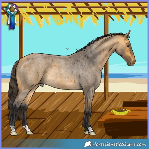 Horse Color:Buckskin Roan Rabicano