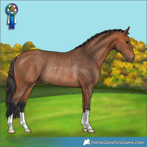Horse Color:Bay Rabicano 