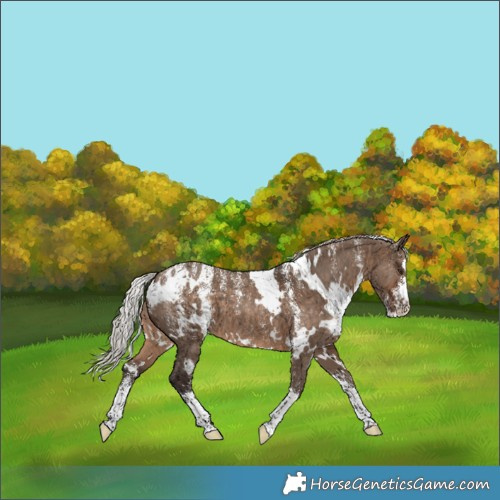 Horse Color:Powder White White Spotted Silver Brown Dun Brindle