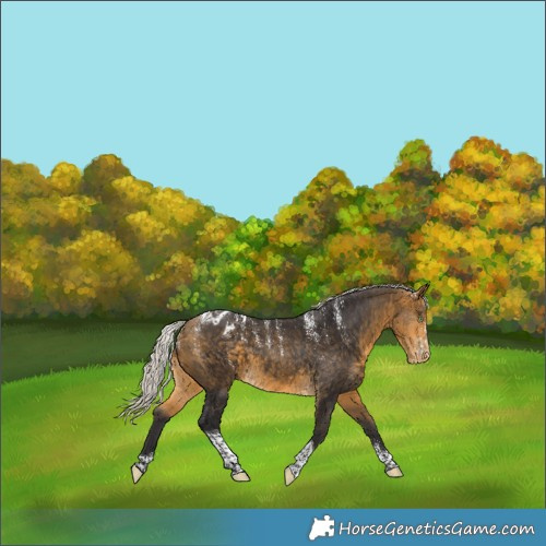 Horse Color:Powder White Silver Buckskin Tobiano Blanket
