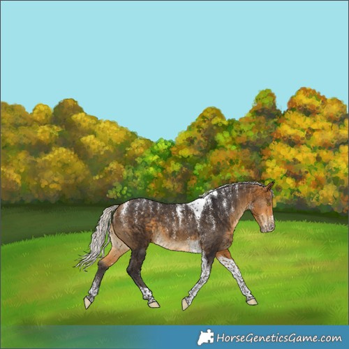 Horse Color:Powder White Silver Buckskin Tobiano