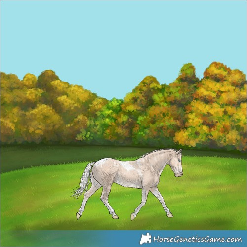 Horse Color:Powder White Silver Perlino Tobiano