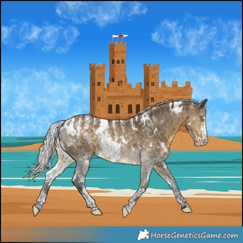 Horse Color:Powder White White Spotted Silver Buckskin Dun Varnish