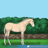 Horse Color:Silver Buckskin 