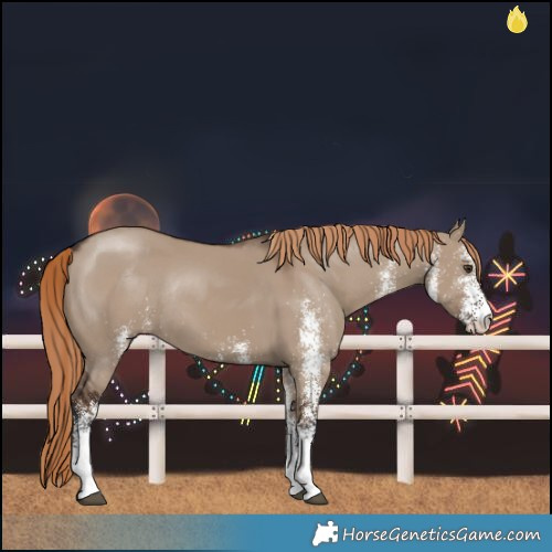 Horse Color:White Spotted Liver Red Dun Rabicano 