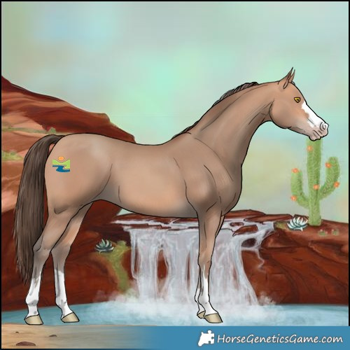 Horse Color:Amber Champagne 