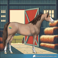 Horse Color:Amber Champagne