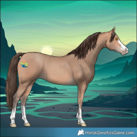 Horse Color:Amber Champagne 
