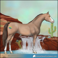 Horse Color:Amber Champagne