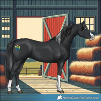 Horse Color:Black Splash Tobiano 